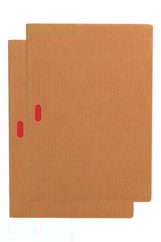 2 Lijntjesschriften - 80 Pagina's - Beige - 21 x 29,7 cm