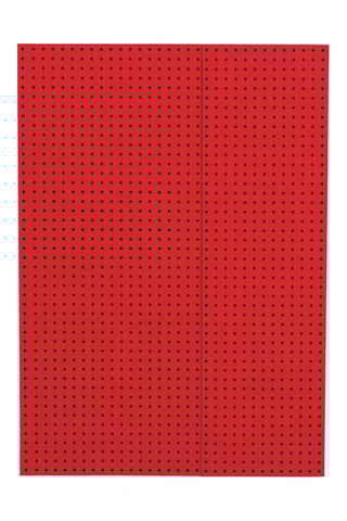 Gelinieerd Notitieboekje - 112 Pagina's - Rood en Zwart - 21 x 29,7 cm
