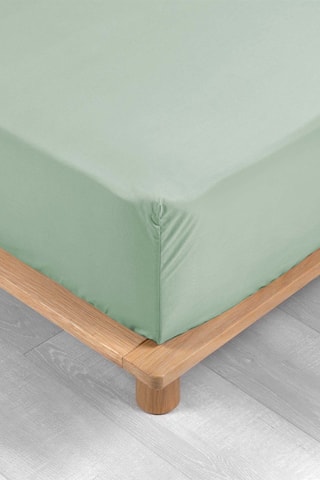 Drap housse en coton mercerisé Percaline - Sauge
