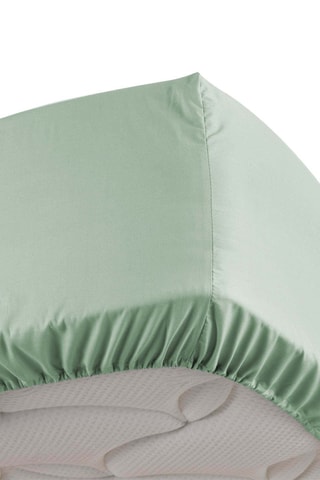 Drap housse en coton mercerisé Percaline - Sauge