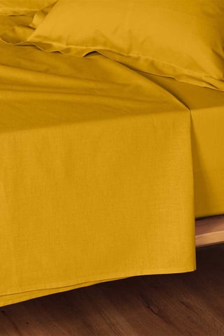 Drap plat en coton 57 fils/cm² Lina - Curry