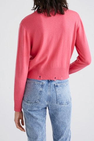 Trui Roze