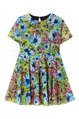Jurk - Blauw en Groen 