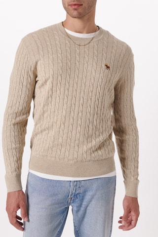 Pull en mérinos - Beige