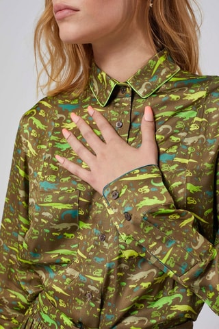 Camisa 
Verde