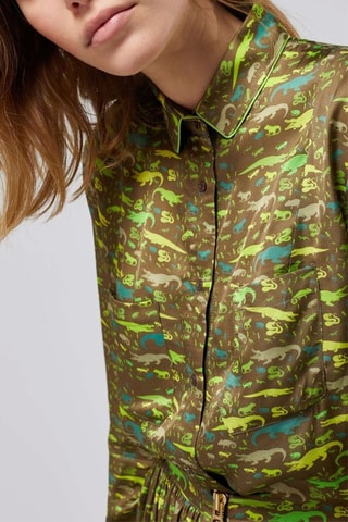 Camisa 
Verde