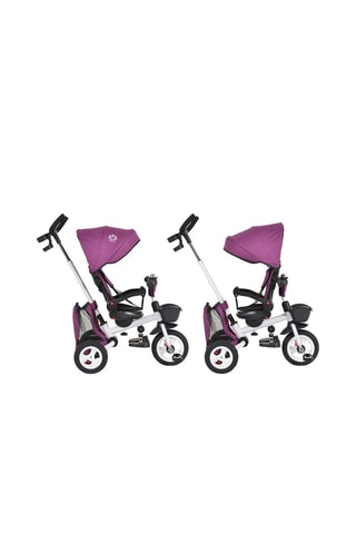 Triciclo Flexy - Violeta - Desde o nascimento - Até 25 kg