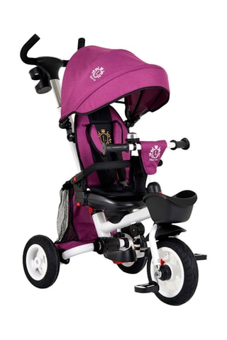 Triciclo Flexy - Violeta - Desde o nascimento - Até 25 kg