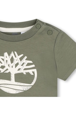 T-shirt en coton biologique - Vert - Timberland