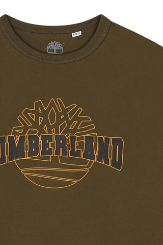 T-shirt en coton biologique - Kaki - Timberland 