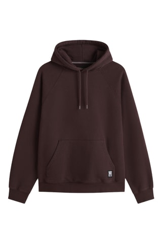 Sweater met Capuchon Crestline Pro - Bruin