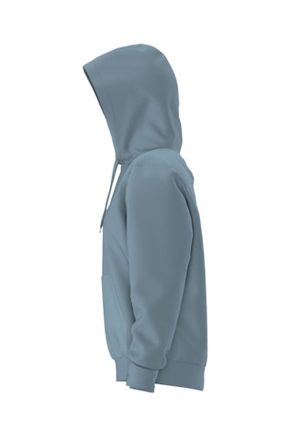 Sweater met Capuchon Essential - Pauwblauw