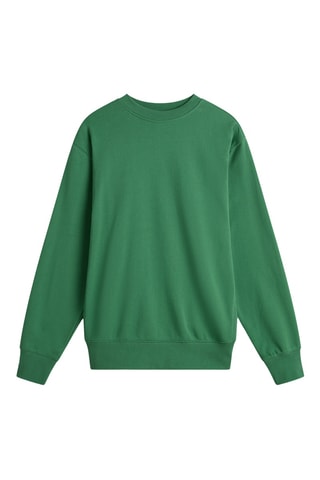 Sweater Original Standards - Donkergroen