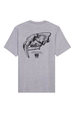 T-shirt MTE Saberskull - Gemêleerd Grijs