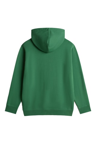 Sweater met Capuchon Salton - Donkergroen