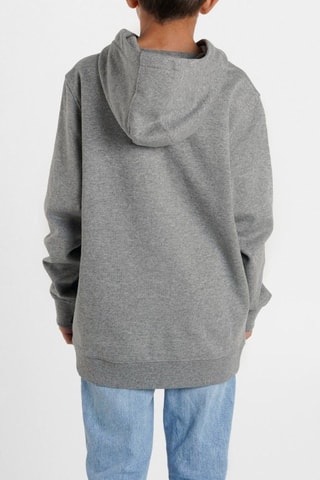 Sweater met Capuchon Stylel 76 PO - Gemêleerd Grijs