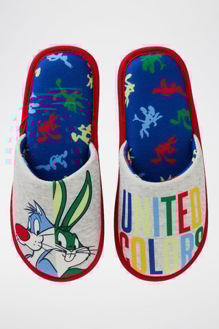 Pantufas Silvestre e Bugs Bunny Looney Tunes - Multicor