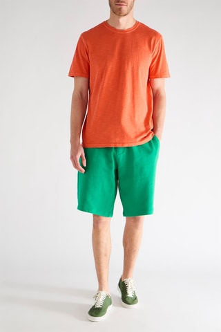 Bermudas - Verde