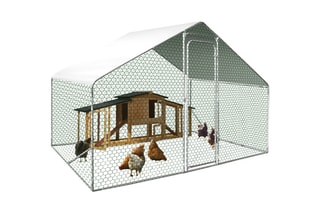 Enclos poulailler - 6 m²