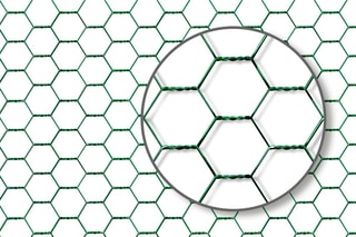 Enclos poulailler - 6 m²