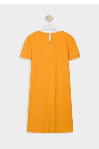 Vestido direito Richy - Mostarda