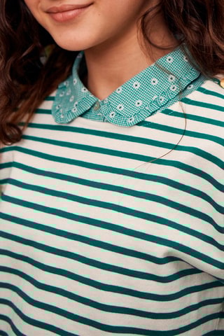 Sweater Singary - Wit en Groen