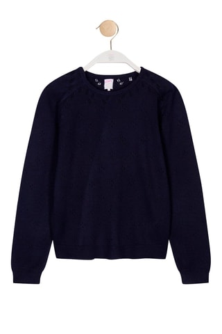 Trui van Bamboevezel Mossy Blauw