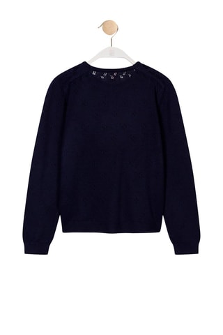 Trui van Bamboevezel Mossy Blauw