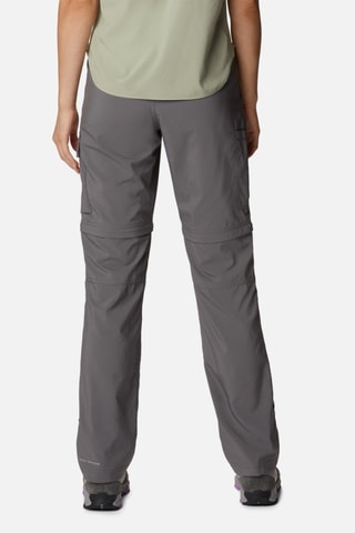 Pantalon Silver Ridge Utility™ - Gris