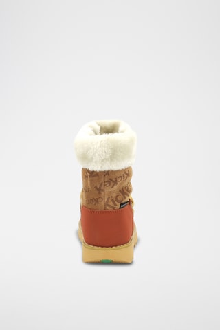 Botins forrados em couro Kickneosnow - Camel