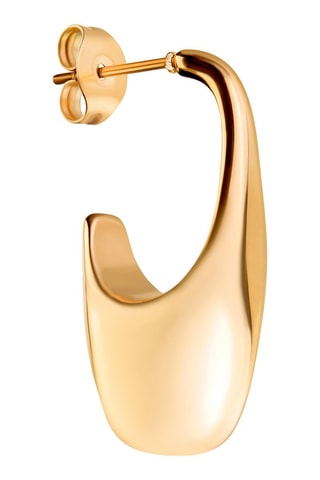 Oorbellen Iris Goudkleurig