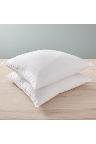 2 Oreillers Gamme  "Douceur" Blanreve