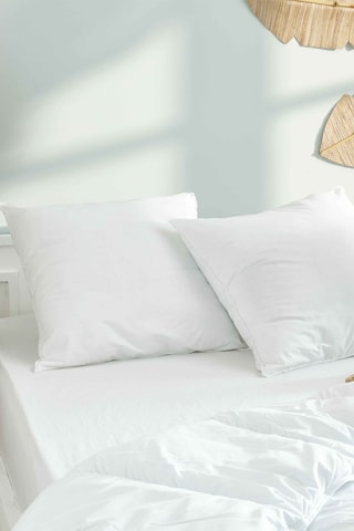 2 Oreillers Gamme  "Douceur" Blanreve