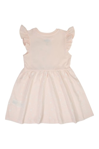 Jurk Elsa Frozen Disney - Roze