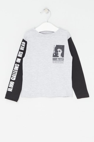 T-shirt Harry Potter Gemêleerd Grijs