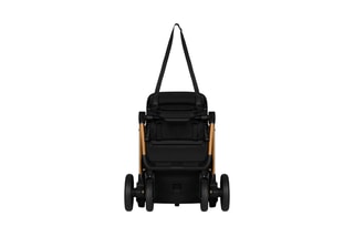 Buggy Cloe Zwart en Goudkleurig