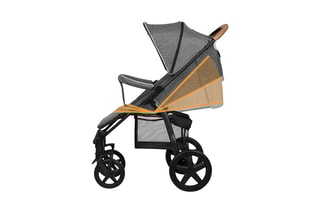 Buggy + Accessoires Annet Plus
