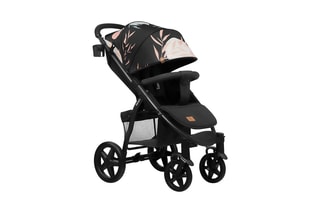 Buggy + Accessoires Annet Plus