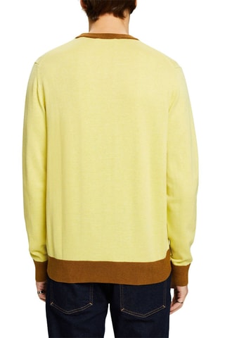 Camisola - Amarelo e castanho