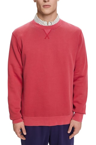 Sweat - Rosa