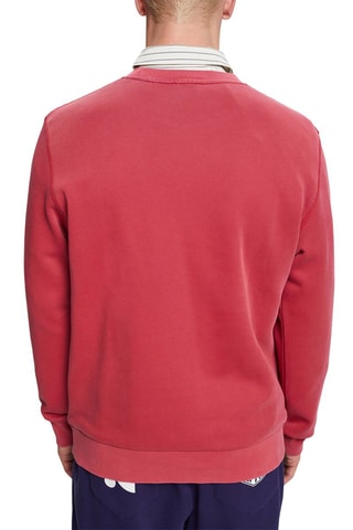 Sweat - Rosa