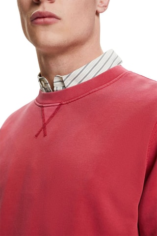 Sweat - Rosa