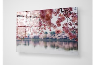 Quadro - 40 x 60 cm