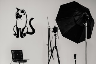 Decoração de parede Chat 2 - 39 x 55 cm - Preto