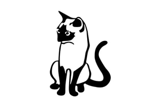 Decoração de parede Chat 2 - 39 x 55 cm - Preto