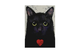 Quadro - 50 x 70 cm - Impressão sobre tela