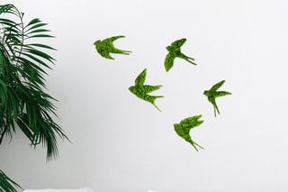 Decoração de parede Swallows - Verde - 19 x 18 cm / 19 x 19 cm / 19 x 11 cm / 19 x 17 cm / 19 x 14 cm