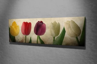 Quadro 30 x 80 cm -