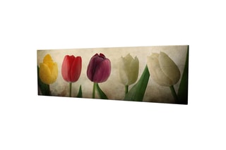 Quadro 30 x 80 cm -