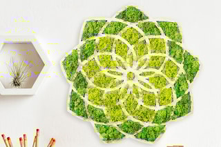 Decoração de parede Daisy - Verde e branco - 44 x 1,6 x 44 cm